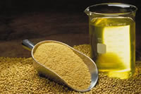edible oils